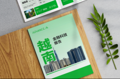 预见 2026:越南金融科技四大核心趋势与 AI 时代的反欺诈攻防